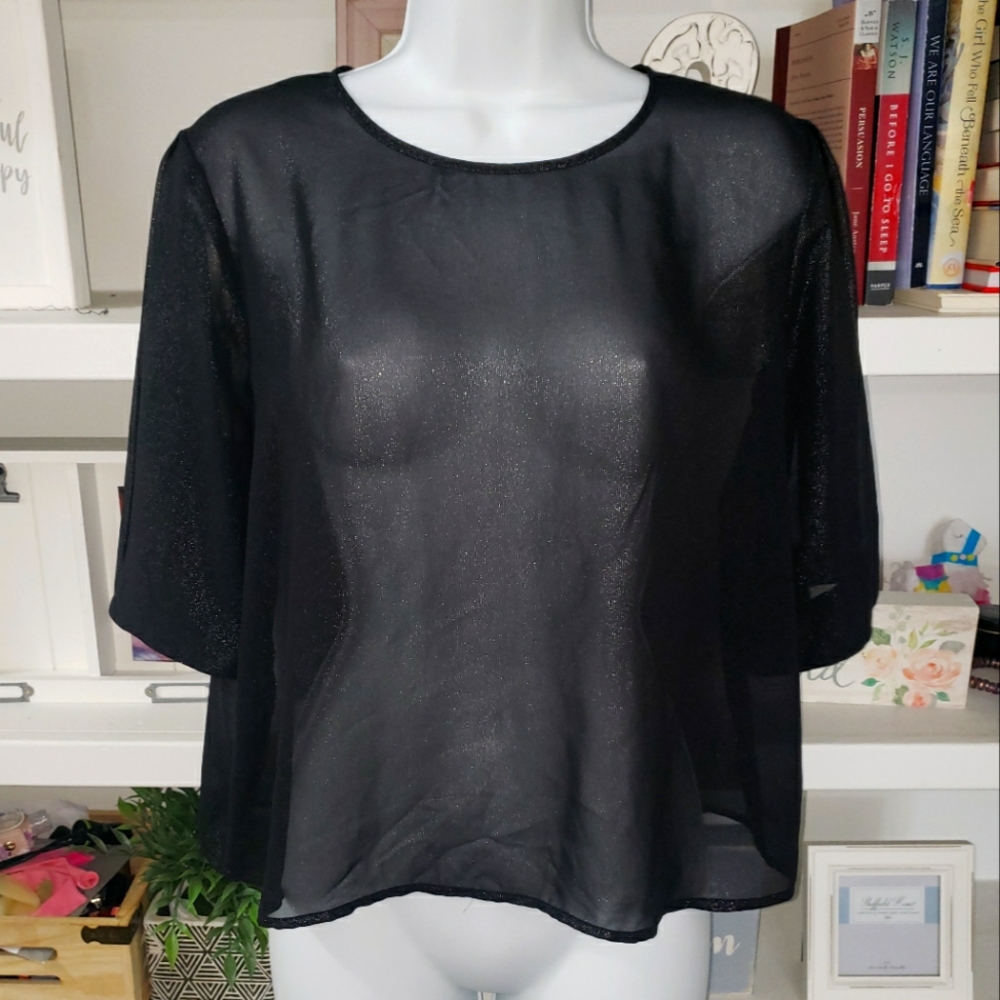 Express Sheer Metallic Blouse